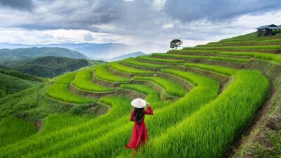 Vietnam Family Holiday – 13 Days Premium Private Tour Led by Women