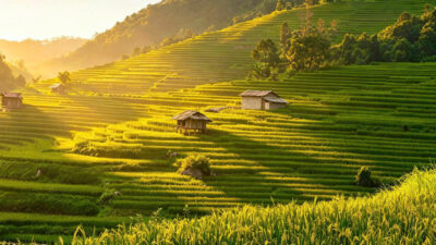 Culture & Heritage Tours