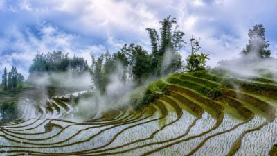 Mai Chau, Pu Luong & Ninh Binh Explorer – 4 Days | Premium Private Tour Led By Women Mai Chau, Pu Luong & Ninh Binh Explorer – 4 Days | Premium Private Tour Led By Women