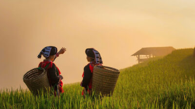 Vietnam Northern Tours